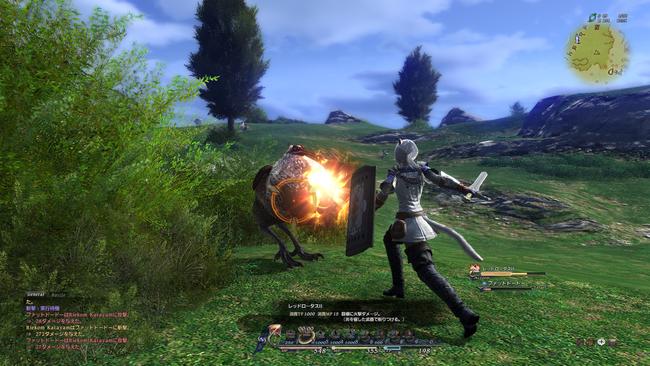 ff14_300610_29.jpg