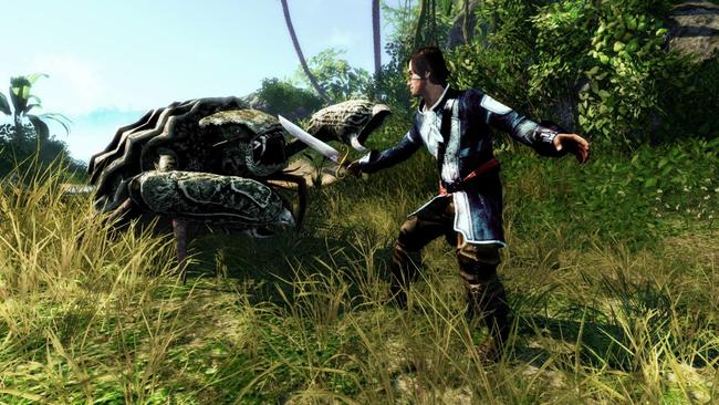 risen2_1605_01.jpg