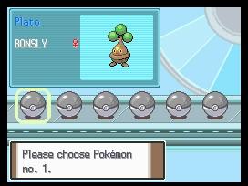 platinum_13.jpg