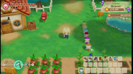 Story-of-Seasons-Friends-of-Mineral-Town_20200327_06.png