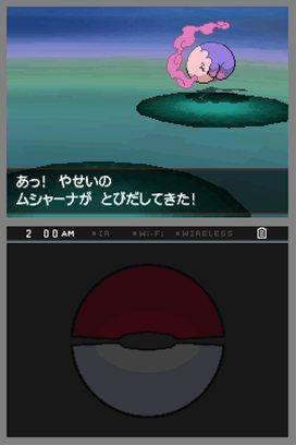 pkmn_bw_160710_07.jpg