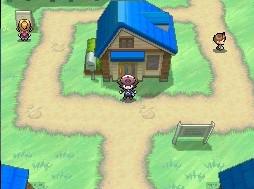 pokemon_bw_screen1.jpg