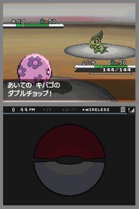 pkmn_bw_160710_01.jpg