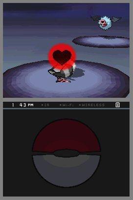 pkmn_bw_160710_02.jpg