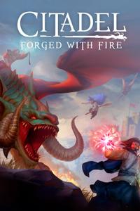 Citadel: Forged with Fire boxart