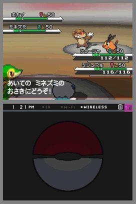 pkmn_bw_160710_03.jpg