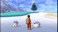 Pokemon-Sword-Shield_The-Crown-Tundra_20200929_01.png