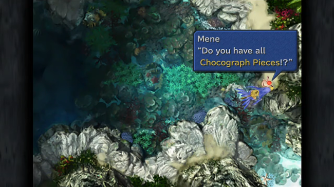 ff9_chocobo_hot_cold_chocograph_pieces.png