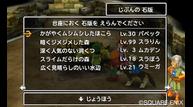 Dragon-Quest-VII-Warriors-of-Eden_2012_11-14-12_028.jpg